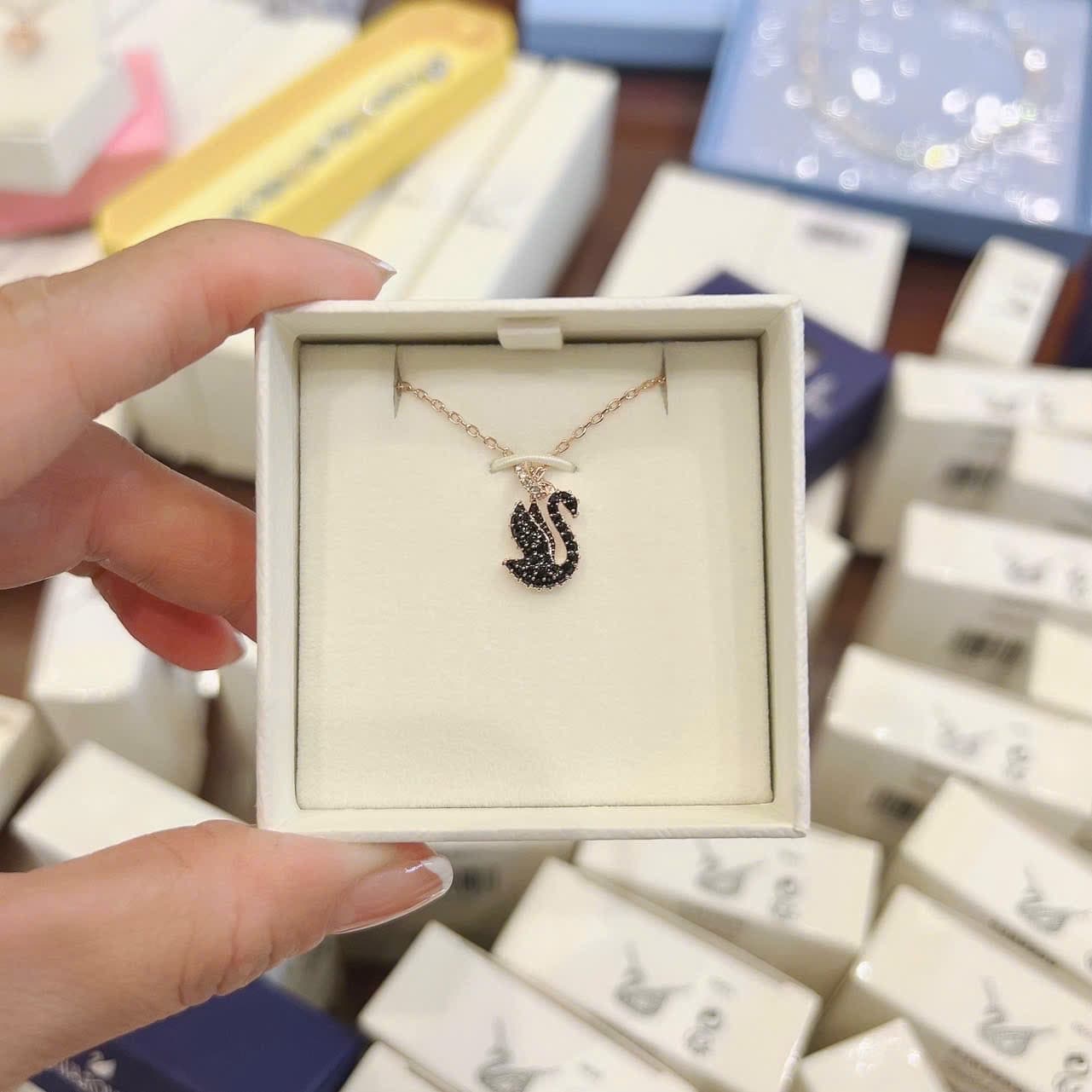 Thiên nga đen dáng bay 