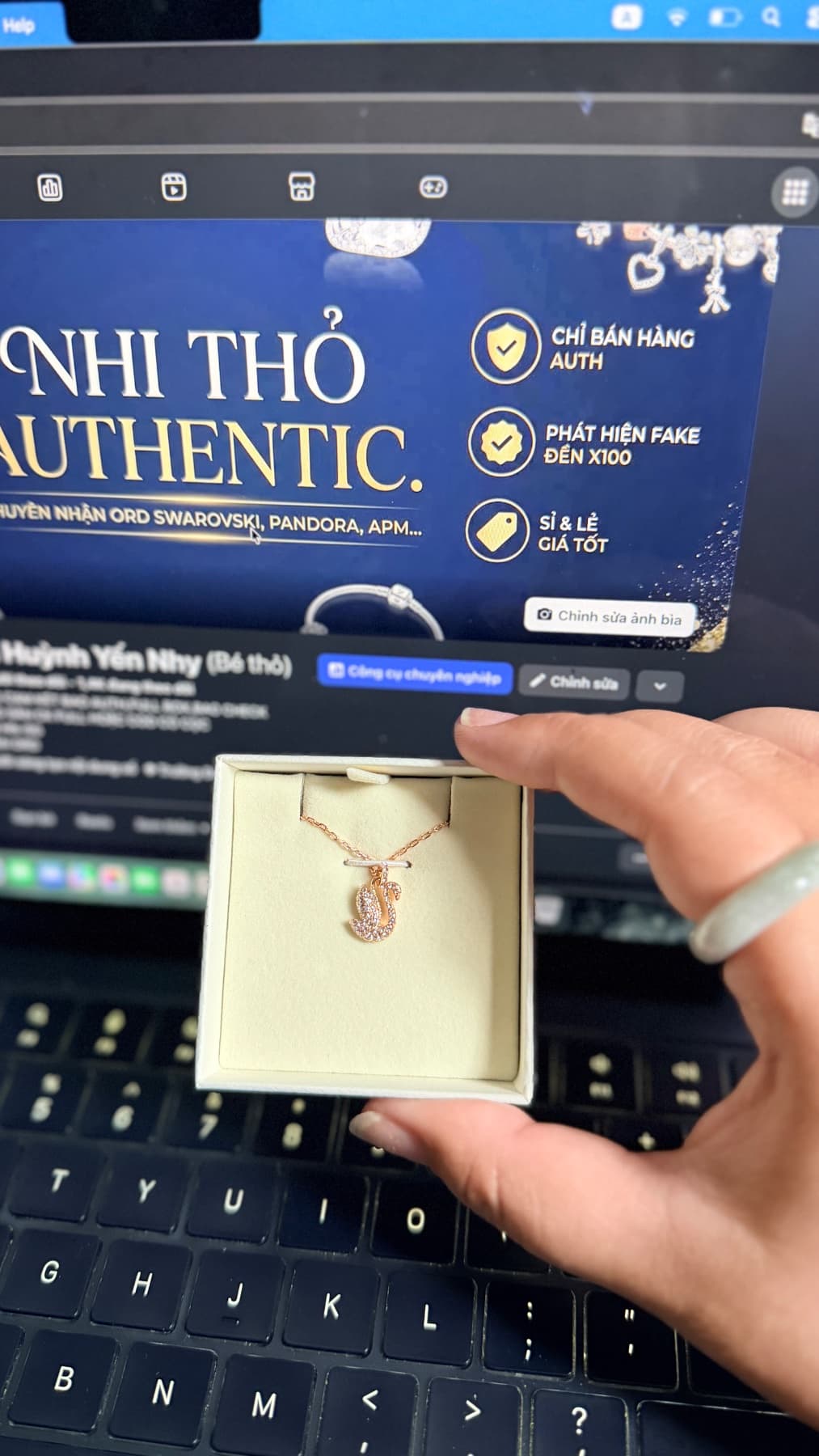 Thiên nga rose dáng bay