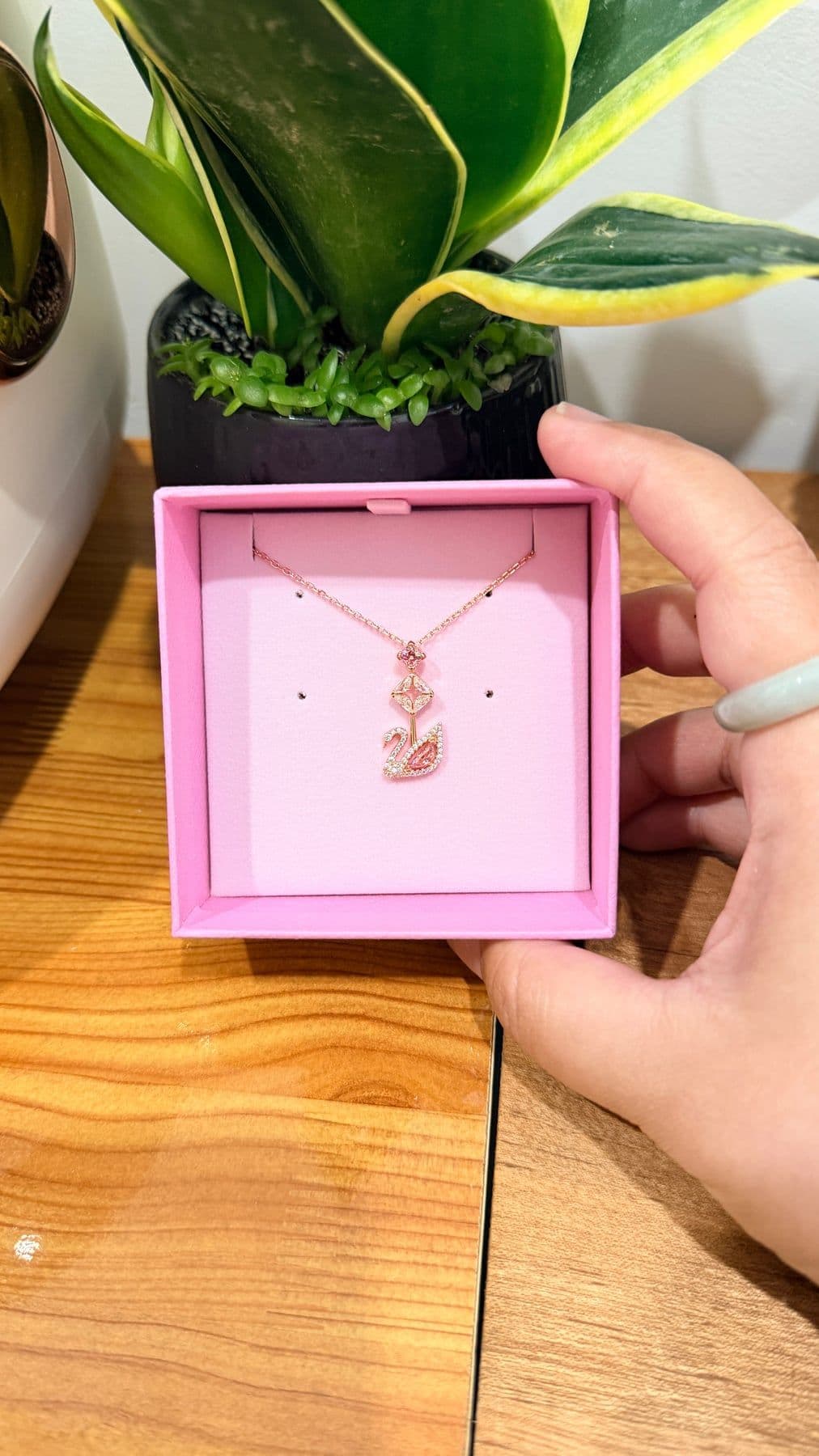 Dây chuyền dazzling swan dáng dài - hồng